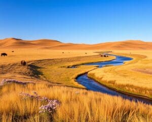 Natur und Parks im Grasslands-Nationalpark, Saskatchewan