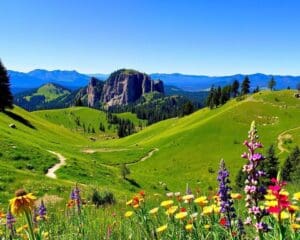 Outdoor-Abenteuer in Boulder, Colorado