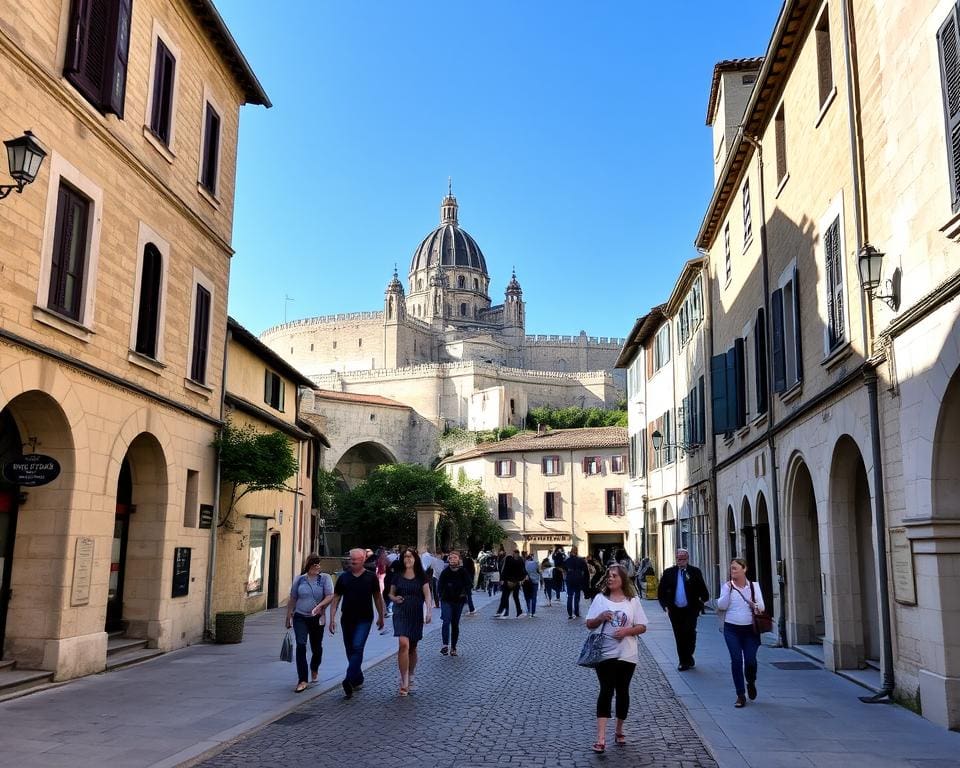 Papstpalast und mittelalterliches Stadtbild in Avignon