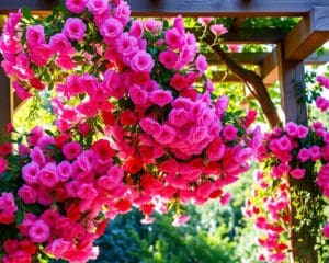 Pergola bepflanzen: Romantische Blüten für den Sommer