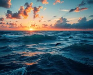 Warum sind Ozeane entscheidend für die Wetterregulierung?