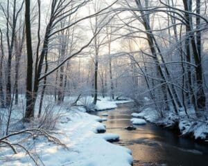Warum sinkt das Energieniveau im Winter?