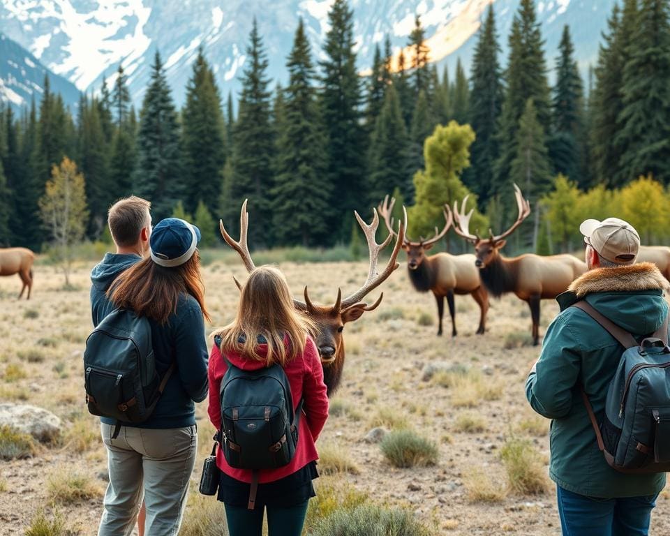 Wildlife beobachten Banff