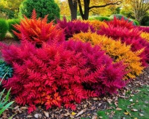 Ziersträucher im Herbst: Farbenprächtige Akzente