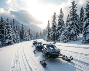 Elektrische Schneemobile: Abenteuer im Einklang mit der Natur