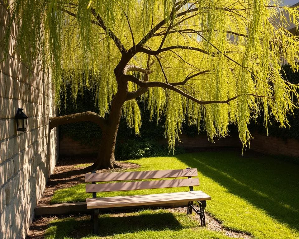 Warum ist ein Spalierbaum ideal für kleine Gärten?