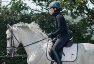 Warum steht JH Dressurausbildung für hochwertige Pferdeausbildung?