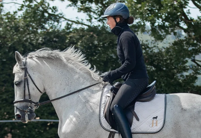 Warum steht JH Dressurausbildung für hochwertige Pferdeausbildung?