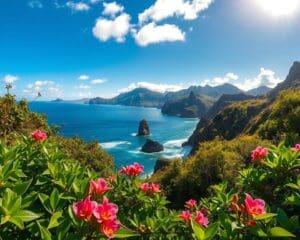 Was macht Madeira zum Naturparadies?
