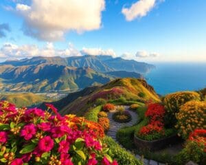 Madeira